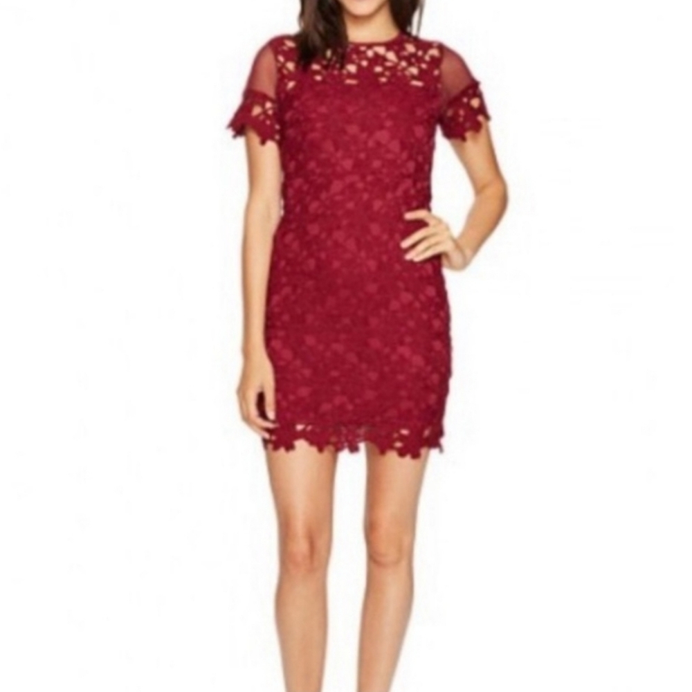 Romeo & Juliet Couture Berry/Red Lace Short Sleeves Mini Cocktail Dress - L -NWT